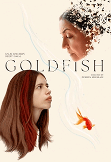 Gold Fish Gold Fish