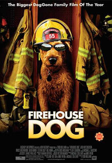 Firehouse Dog