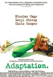 Adaptation