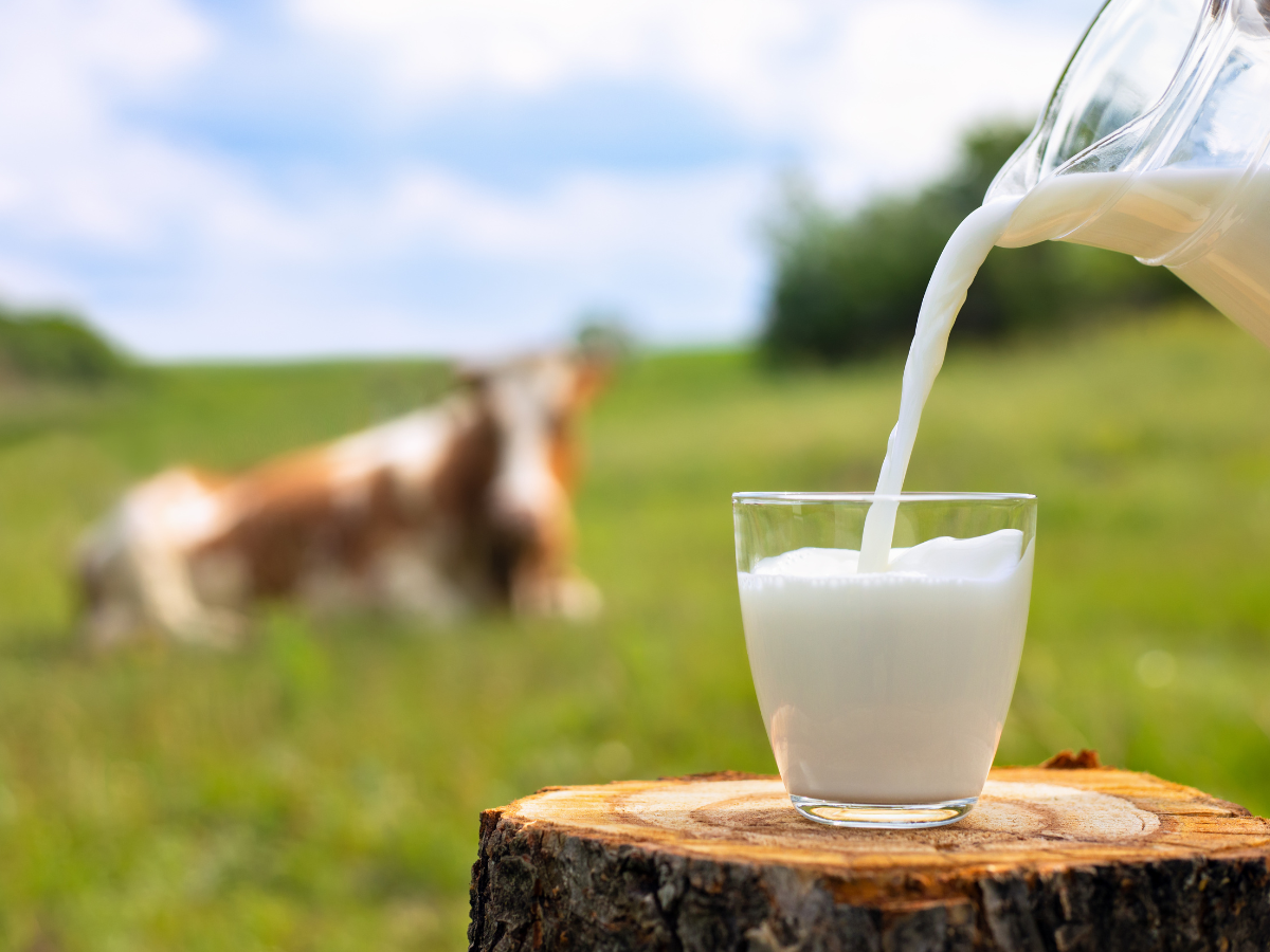 study-claims-milk-is-more-hydrating-than-water