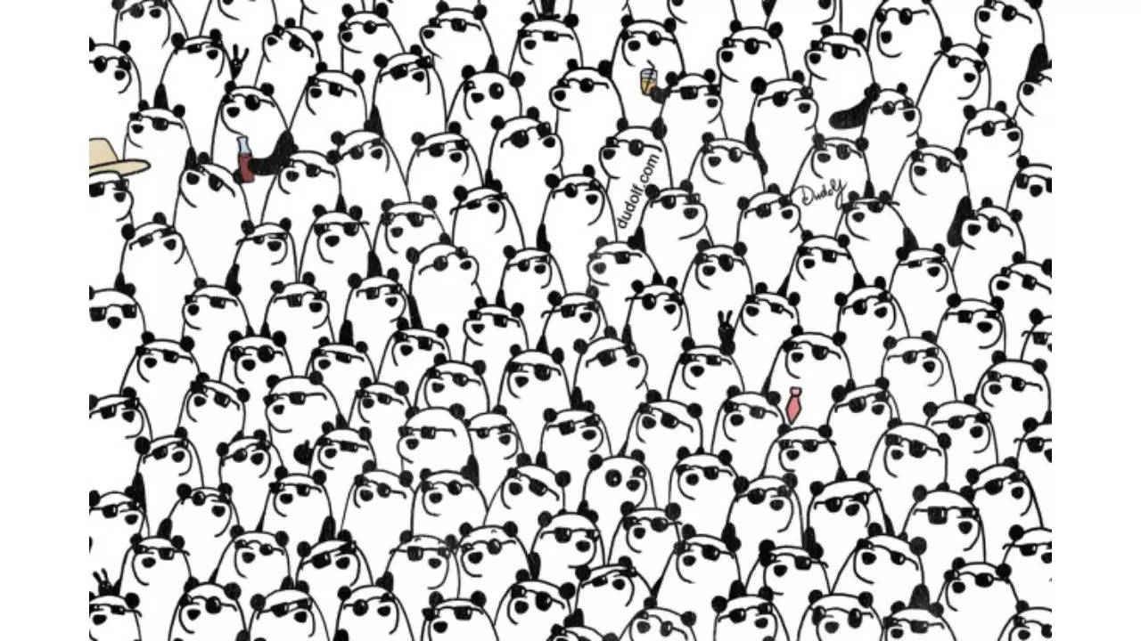 Optical Illusion: Only those with sharp eyesight can see the hidden panda -  Times of India