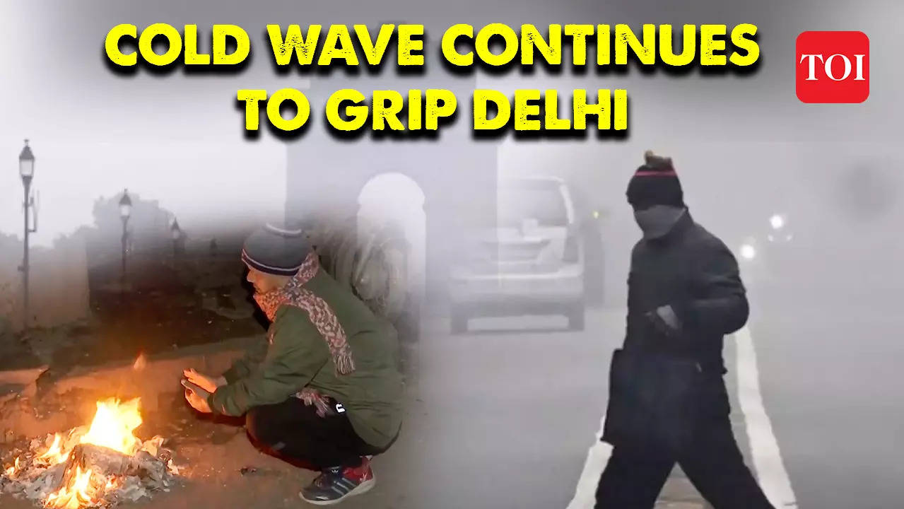 Cold Wave Continues To Grip Delhi