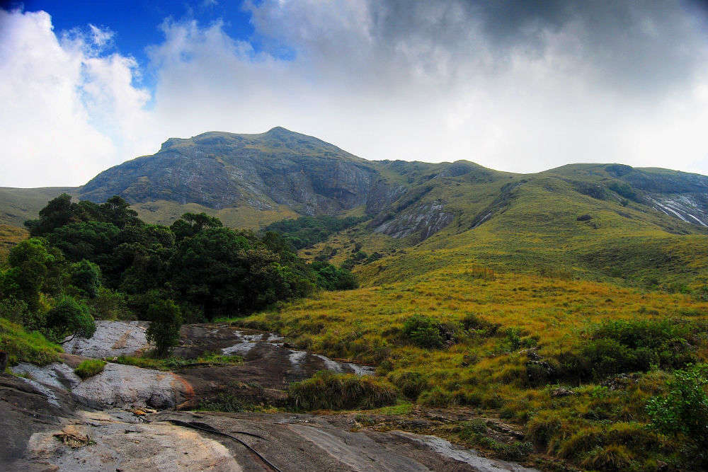 Eravikulam National Park Munnar Times Of India Travel