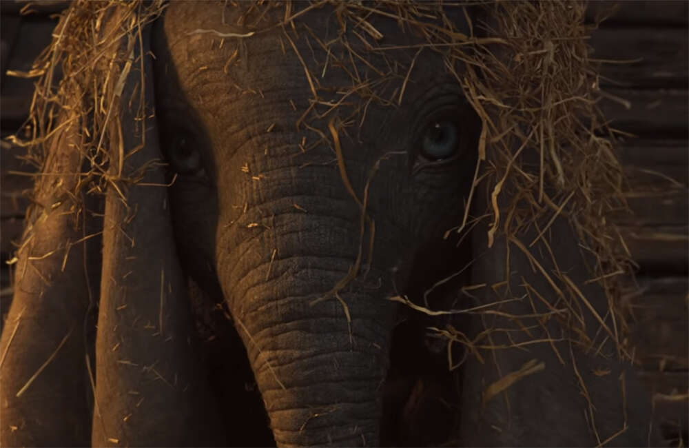 Dumbo3