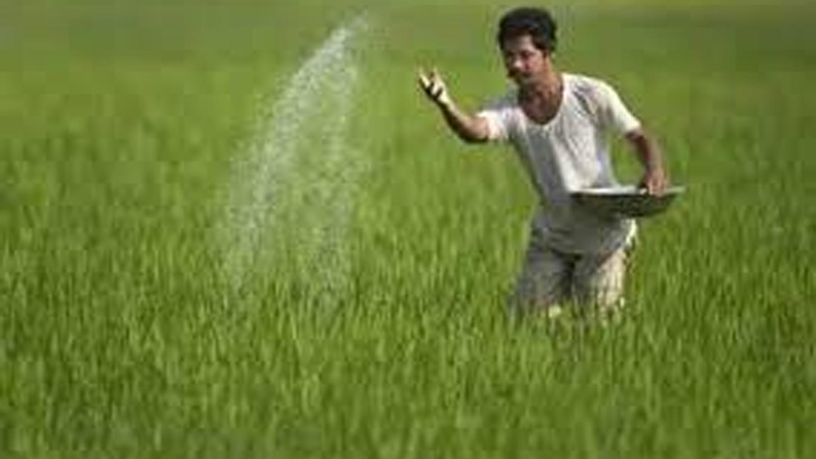 India Records Highest Acreage Of Kharif Crops