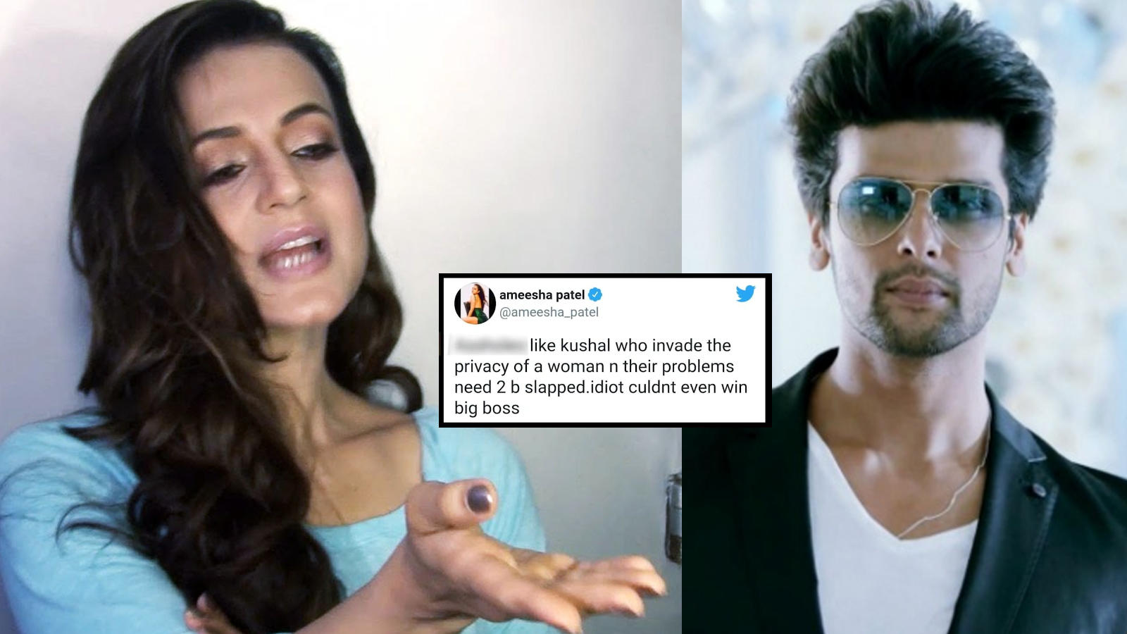 When Ameesha Patel Wanted To Slap Kushal Tandon After He Slammed Her