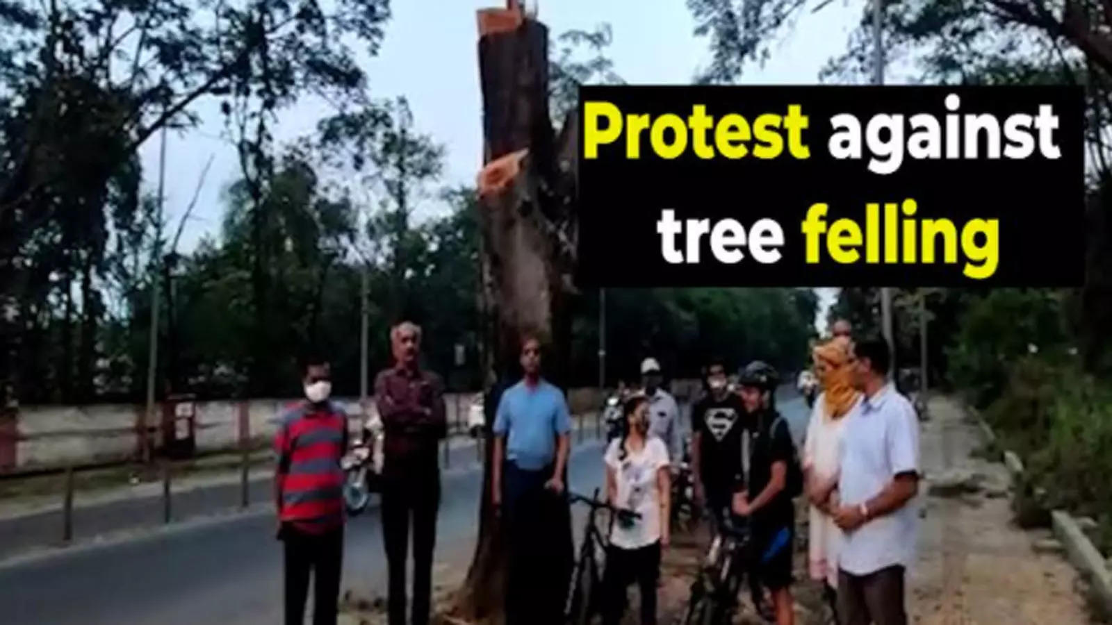 Pune Residents Stage Protest Against Tree Felling