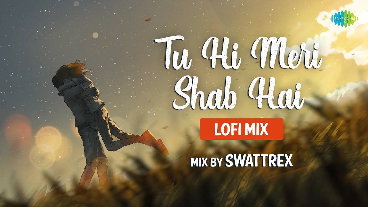 Check Out Popular Hindi Official Lofi Mix Music Video Tu Hi Meri