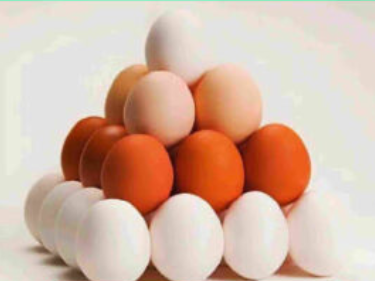 puzzle-how-many-eggs-are-there-in-this-picture