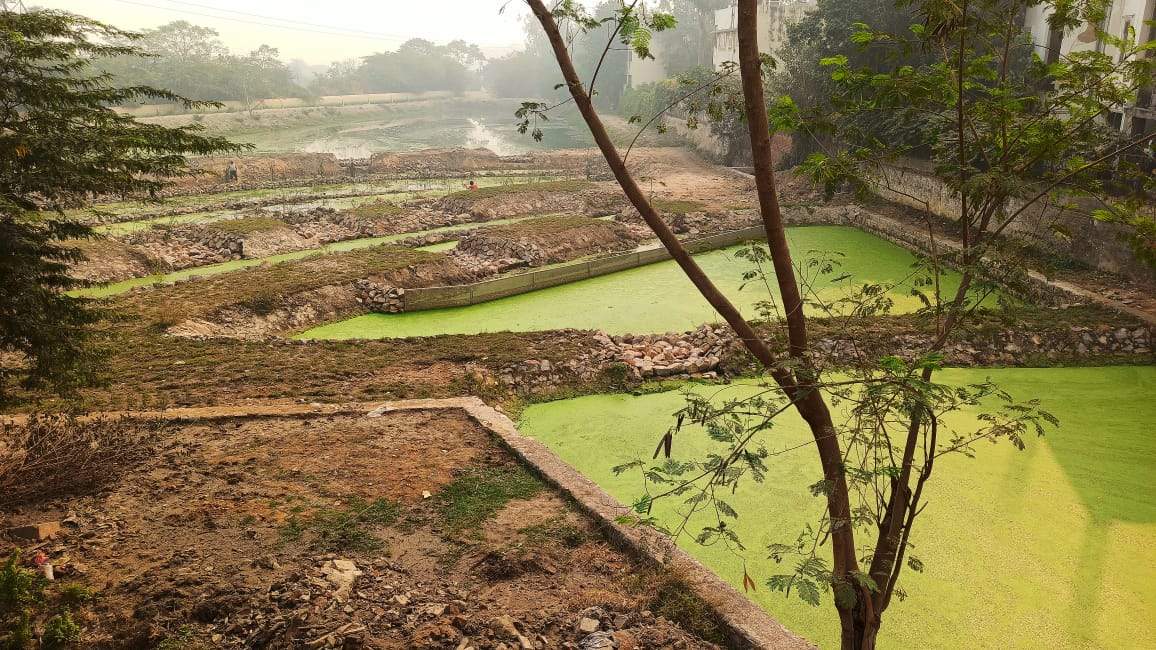 Clean Yamuna Biodiversity Park In Delhi Gets St Of Artificial