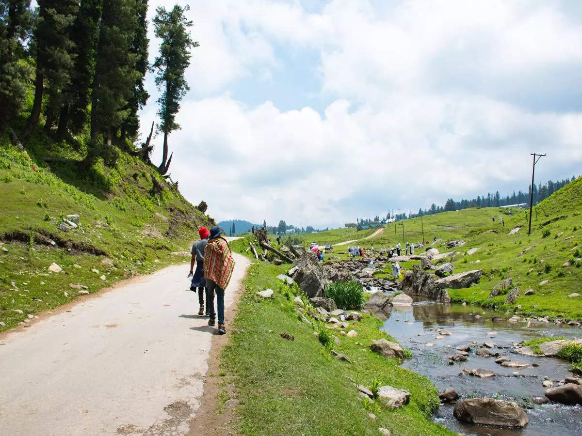 Gulmarg Travel: Exploring the best of Gulmarg in summer: 5 must-do activities | Times of India Travel