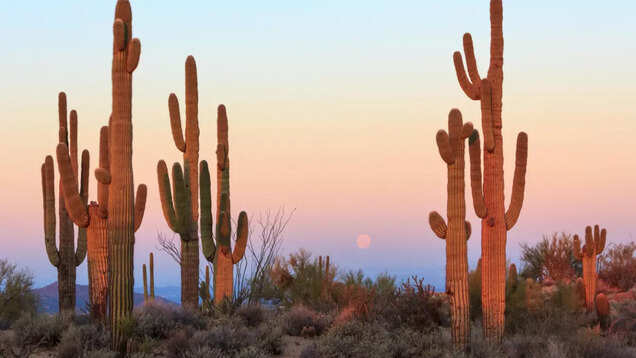 Next on your travel wishlist... Nothing Next on your travel wishlist... Nothing