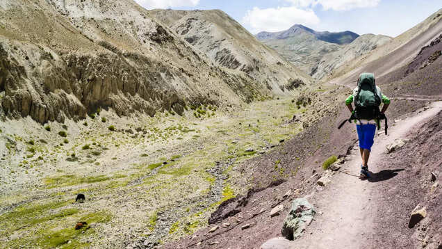 Is Ladakh’s Markha Valley Trek on your adventure wishlist? Is Ladakh’s Markha Valley Trek on your adventure wishlist?