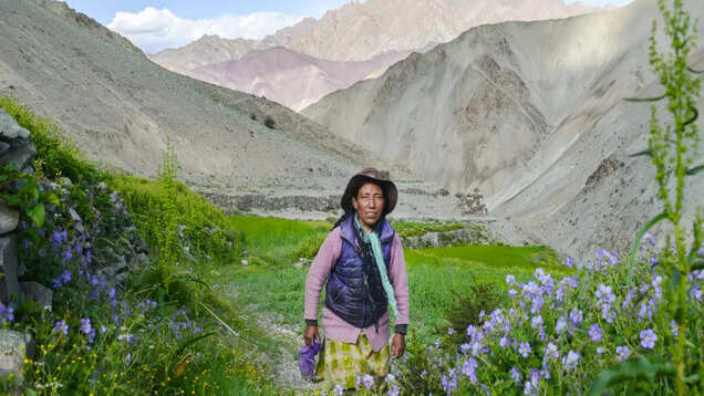 Is Ladakh’s Markha Valley Trek on your adventure wishlist? Is Ladakh’s Markha Valley Trek on your adventure wishlist?