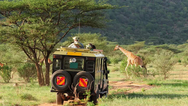 Perfect first-timers' itinerary for a holiday in Kenya Perfect first-timers' itinerary for a holiday in Kenya
