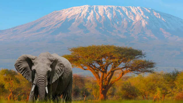 Perfect first-timers' itinerary for a holiday in Kenya Perfect first-timers' itinerary for a holiday in Kenya