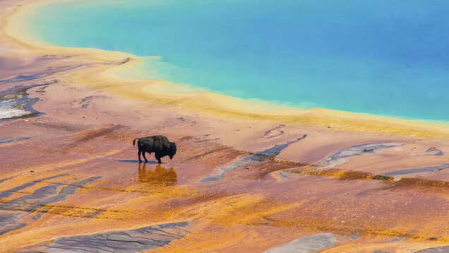 Unparalleled treasures of Yellowstone National Park, world's first national park Unparalleled treasures of Yellowstone National Park, world's first national park