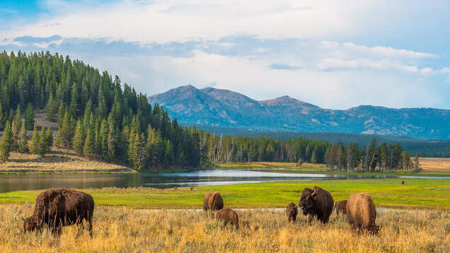 Unparalleled treasures of Yellowstone National Park, world's first national park Unparalleled treasures of Yellowstone National Park, world's first national park