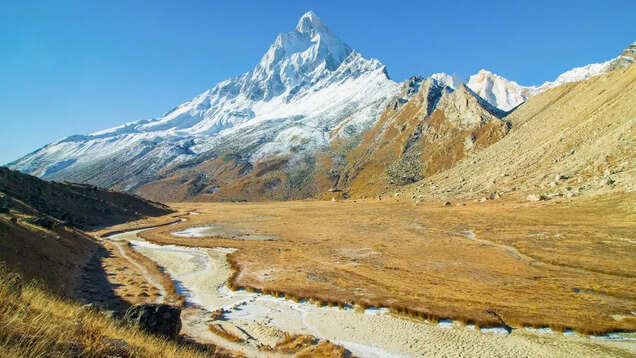 This is what awaits you in Uttarakhand’s Forest of Meditation This is what awaits you in Uttarakhand’s Forest of Meditation