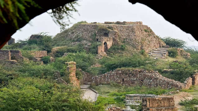 Biodiversity hotspot Delhi Ridge is the city's saving grace Biodiversity hotspot Delhi Ridge is the city's saving grace