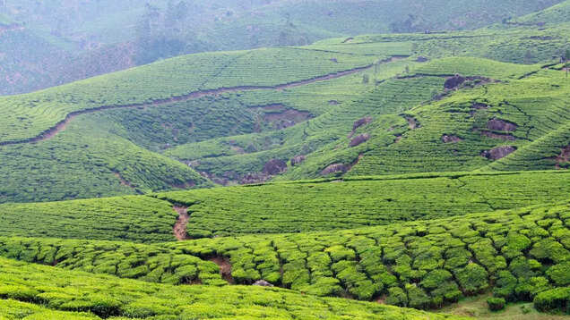 Exploring Devikulam: A hidden jewel in Kerala and its connection with the Ramanayana Exploring Devikulam: A hidden jewel in Kerala and its connection with the Ramanayana