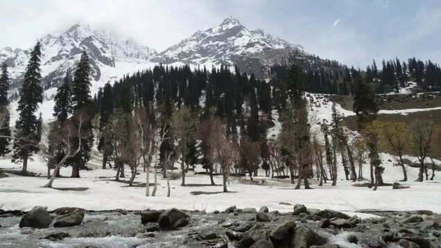 Gulmarg hotels that will give the best view of the valley Gulmarg hotels that will give the best view of the valley