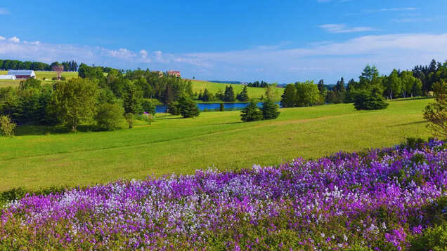 Canadian destinations that tourists find irresistible Canadian destinations that tourists find irresistible
