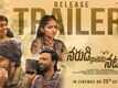 Narudi Brathuku Natana - Official Trailer