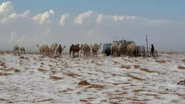 Saudi Arabian desert sees snowfall for the first time in history Saudi Arabian desert sees snowfall for the first time in history