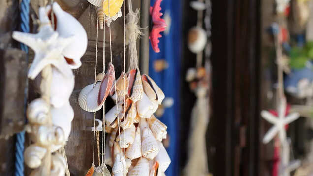 Best souvenir to bring back from your Goa trip Best souvenir to bring back from your Goa trip