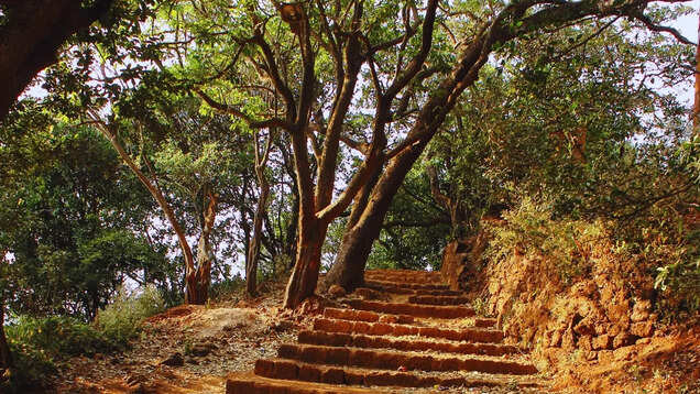 Matheran: Your guide to India’s ONLY car-free hill station Matheran: Your guide to India’s ONLY car-free hill station