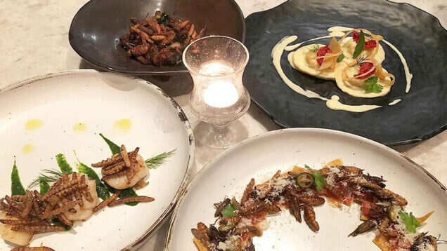 This insect restaurant in Thailand is taking fine-dining to next level This insect restaurant in Thailand is taking fine-dining to next level