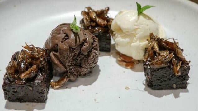 This insect restaurant in Thailand is taking fine-dining to next level This insect restaurant in Thailand is taking fine-dining to next level