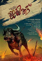 Jallikattu