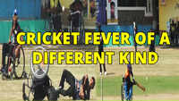 Cricket fever of a different kind