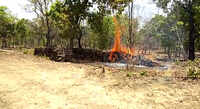 Maharashtra: Maoists set forest depot on fire in Gadchiroli