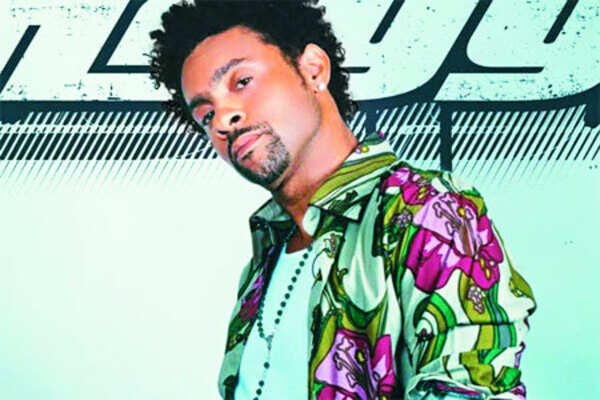 Shake it with Shaggy boy