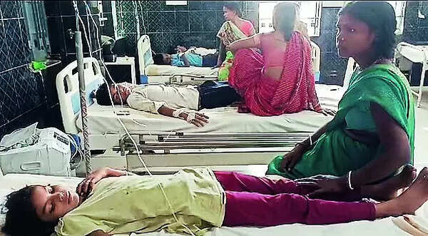 Lizard found in Bihar school midday meal; 23 students fall ill