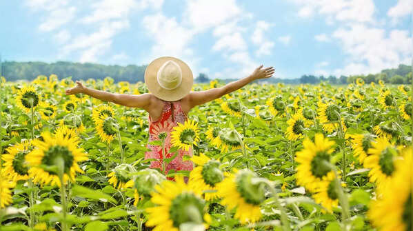 How to train your brain to be happy