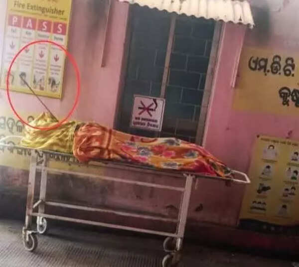 Man kills wife with arrow over illicit affair whiff, held