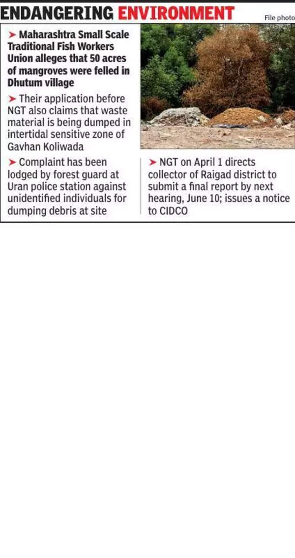 National Green Tribunal asks Raigad collector to submit report on felling of mangroves and waste dumping