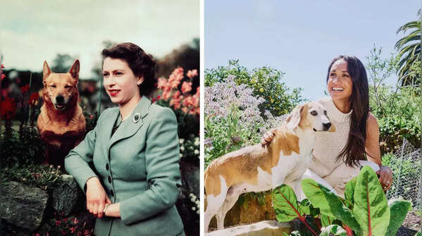 The UK royal family’s beloved pet dogs over the years