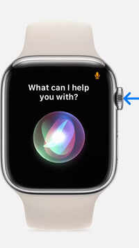 Siri on <i class="tbold">apple watch</i>