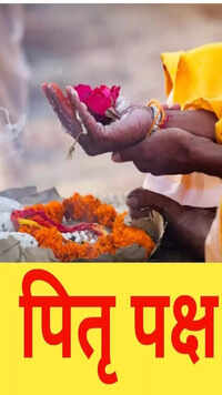 <i class="tbold">pitru paksha</i>