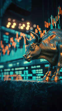 Why Sensex, Nifty50 Hit New Highs
