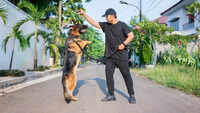 Energy levels and exercise needs