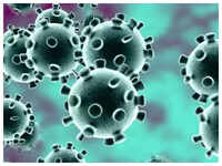 What is <i class="tbold">coronavirus</i>?
