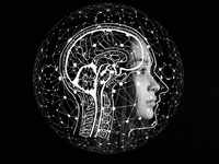Impact on <i class="tbold">cognitive abilities</i>