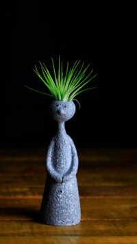 <i class="tbold">budget friendly home</i> decor essentials to add chutzpah to your space