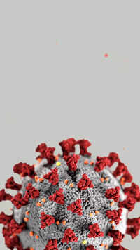 <i class="tbold">coronavirus</i>